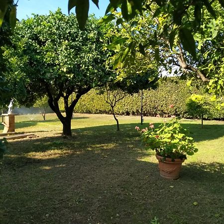 Da Ninnilla Holiday Home Скафати Экстерьер фото