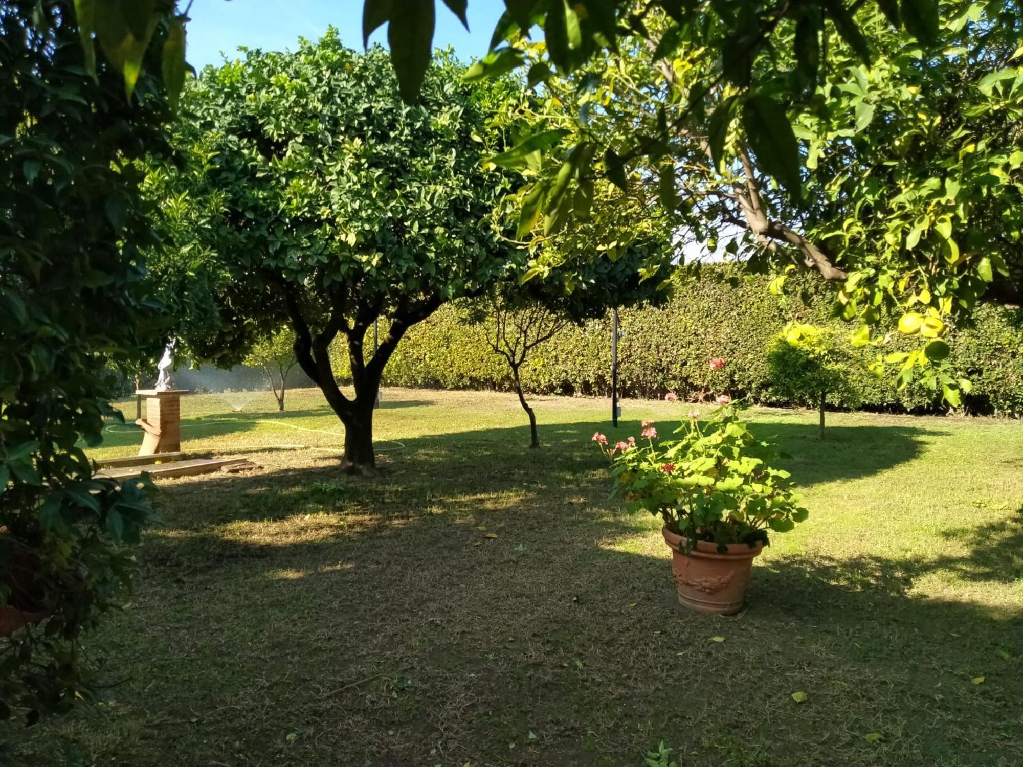 Da Ninnilla Holiday Home Скафати Экстерьер фото
